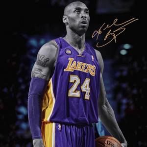 Meet your Posher, Brady